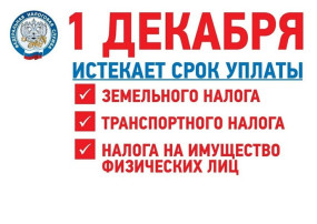До срока уплаты имущественных налогов физических лиц осталась одна неделя До срока уплаты имущественных налогов физических лиц осталась одна неделя.
